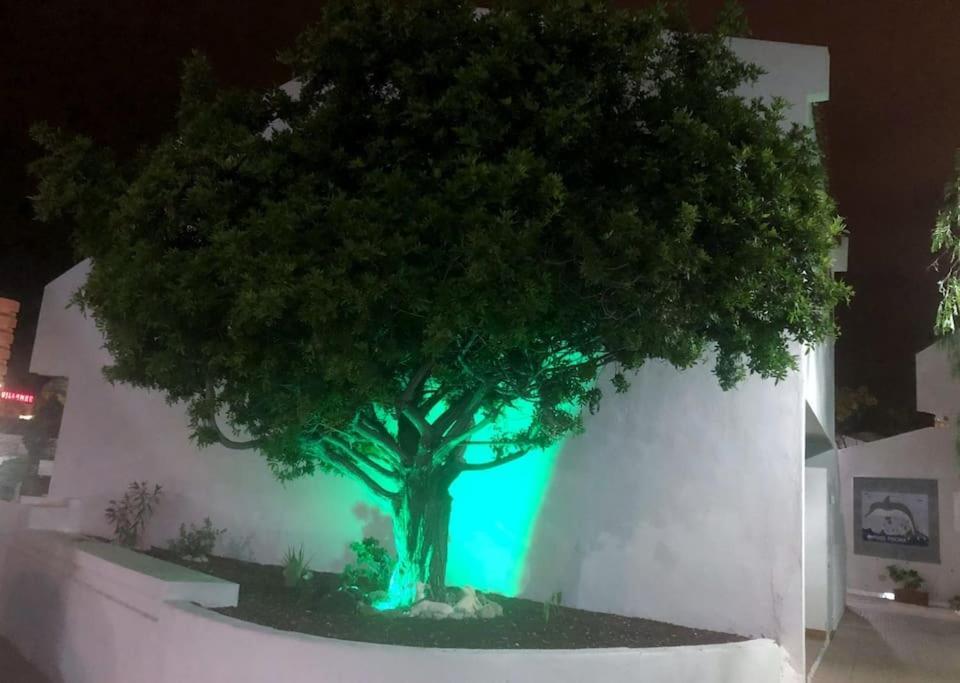Apartamento Lucia Garden City Con Piscina Climatizada Playa Feñabe Esterno foto