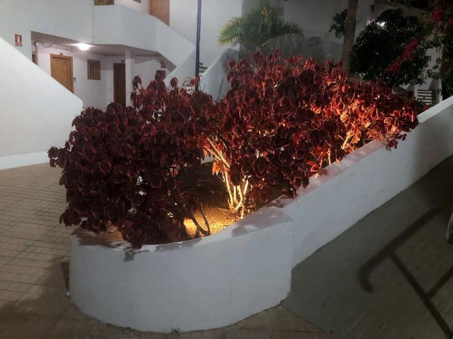Apartamento Lucia Garden City Con Piscina Climatizada Playa Feñabe Esterno foto