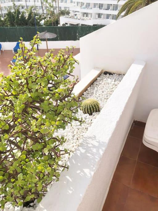 Apartamento Lucia Garden City Con Piscina Climatizada Playa Feñabe Esterno foto