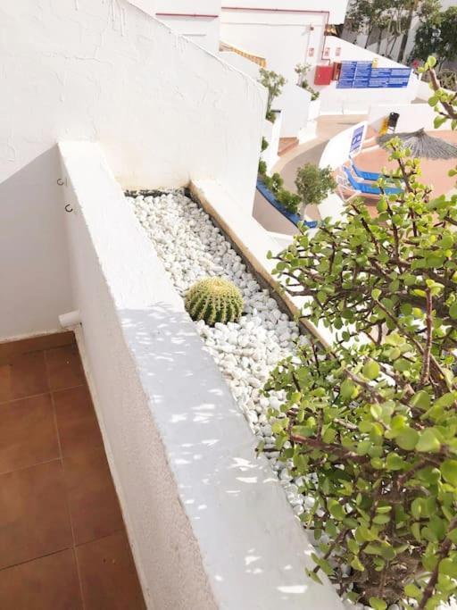Apartamento Lucia Garden City Con Piscina Climatizada Playa Feñabe Esterno foto