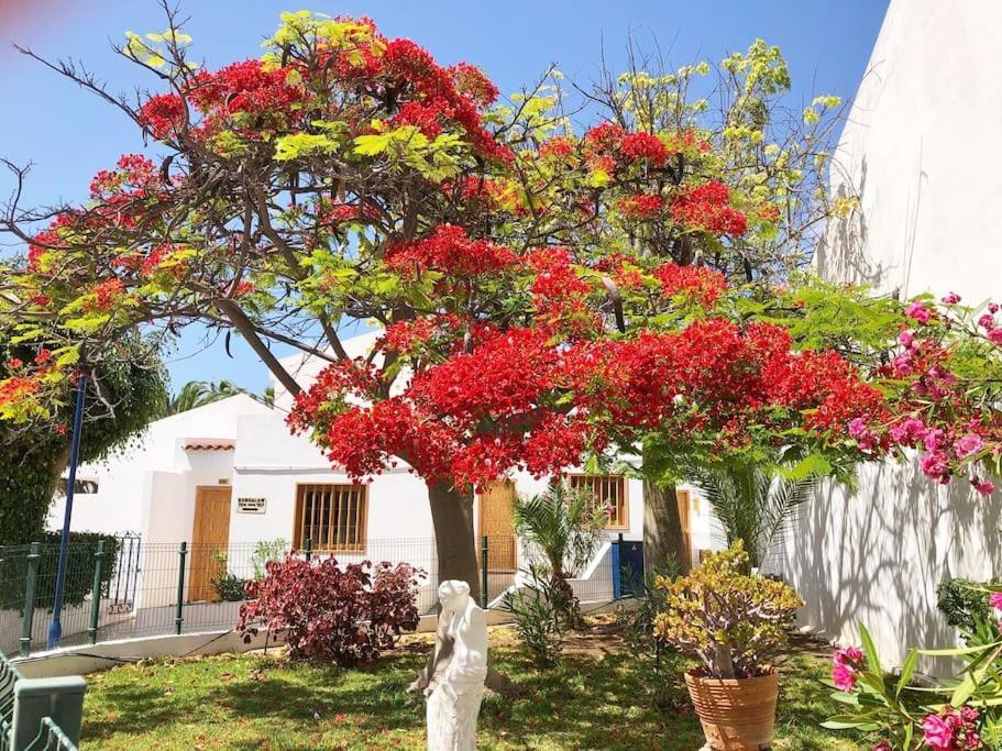 Apartamento Lucia Garden City Con Piscina Climatizada Playa Feñabe Esterno foto
