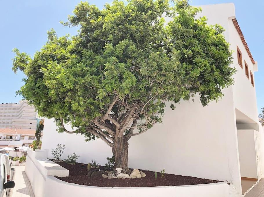 Apartamento Lucia Garden City Con Piscina Climatizada Playa Feñabe Esterno foto